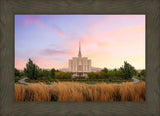 Oquirrh Grassy Morning