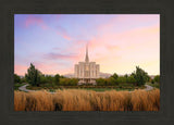 Oquirrh Grassy Morning