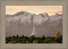 Mt. Timpanogos You’re not Alone