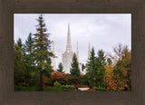 Portland Temple Forest Through The Trees