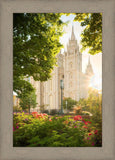 Salt Lake - The Lord is My Light (Vertical)