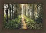 Enjoy The Beauty On Your Broken Path, Forest Walkway