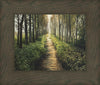 Enjoy The Beauty On Your Broken Path, Forest Walkway