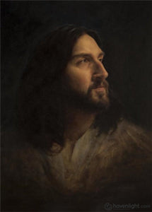 Our Advocate Art